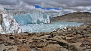 CO2 & the Environment:  A “Not Guilty” Verdict?