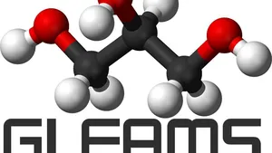 Examining Glycerol as a Potential Marine Fuel