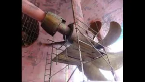 Grand Princess Latest Propeller Shaft bearing wear Data