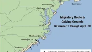 Chartlet Image courtesy of NOAA