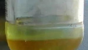 USCG Warns of Water Contamination in Fuel Systems