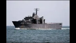 Endurance-class warship: Photo courtesy SSN