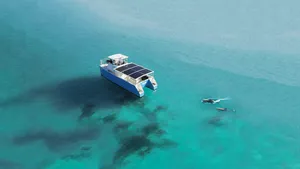 Squid: The All-Electric Dolphin Watcher