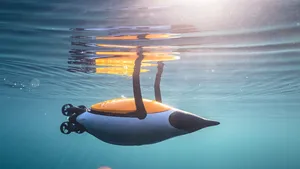 VIDEO: Penguin-Inspired Quadroin AUV Upgraded