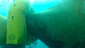 Stern Tube Sealing: Hydrex Use 'Mobdocks'