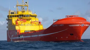 'Viking Lady': Photo courtesy of DNV