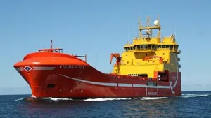 'Viking Lady': Photo courtesy of FellowSHIP Project