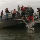 Propulsion Chosen for Pacific Coast Oyster Harvest Vessel
