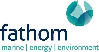 BIMCO Launch Ship Efficiency Package