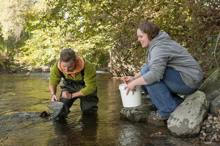 MTU Environmental Foundation Offers Grant