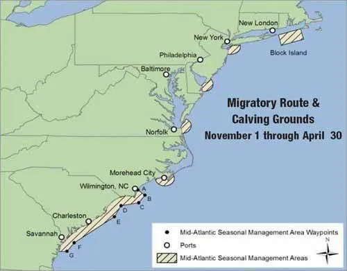 Chartlet Image courtesy of NOAA