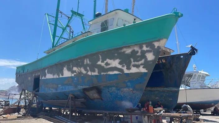 The Judilily is now fitted with TG100 shaft seals (Photo: Thordon Bearings)