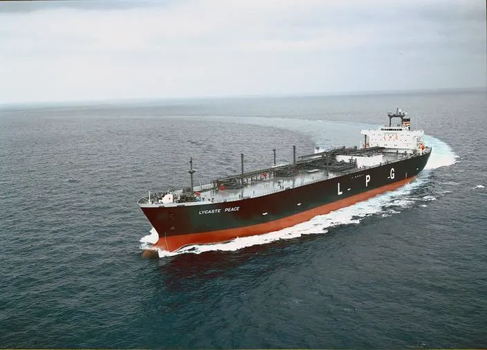 Lycaste Peace (Source: NYK)
