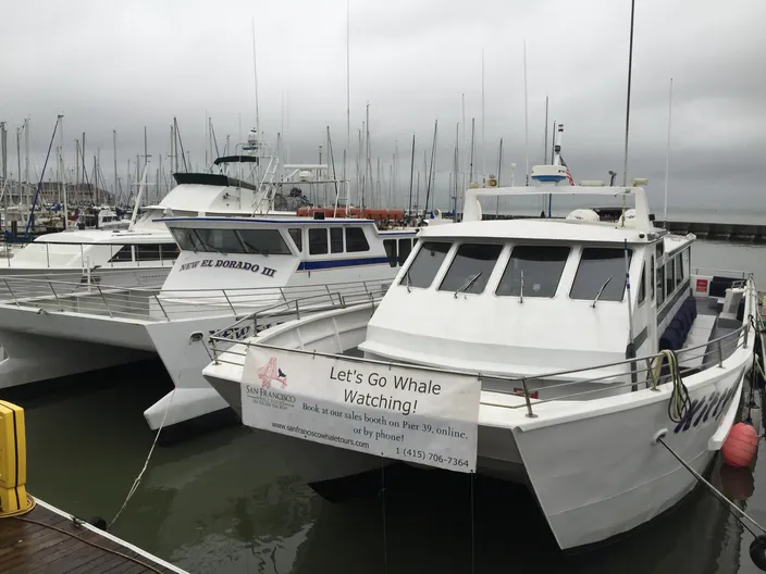 Photo: Volvo Penta