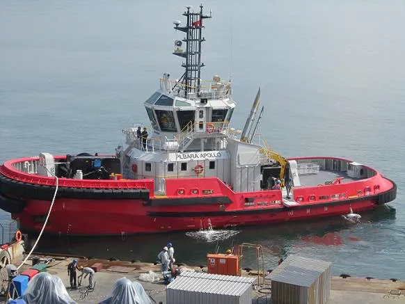 Pilbara Apollo (Photo: Robert Allan)