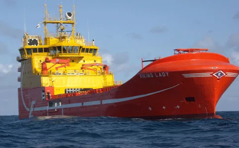 'Viking Lady': Photo courtesy of DNV